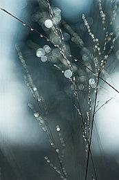 《漫威蜘蛛侠2》毒液截图 由Tony Todd配音